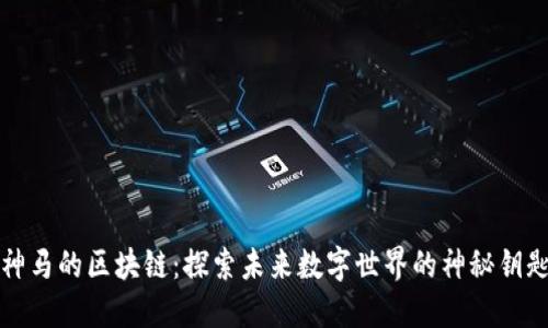神马的区块链：探索未来数字世界的神秘钥匙