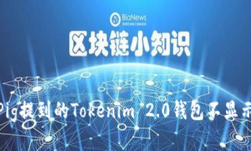 : 解决Pig提到的Tokenim 2.0钱包不显示的问题