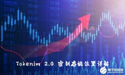 Tokenim 2.0 密钥存放位置详解