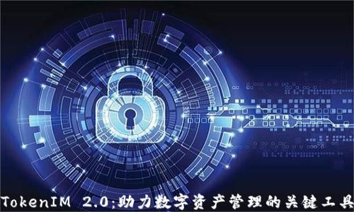 
TokenIM 2.0：助力数字资产管理的关键工具