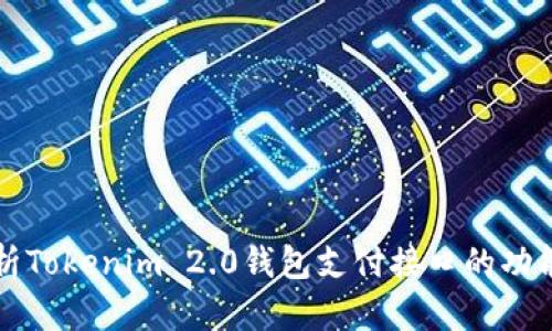 全面解析Tokenim 2.0钱包支付接口的功能与应用