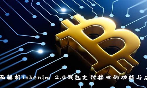 全面解析Tokenim 2.0钱包支付接口的功能与应用
